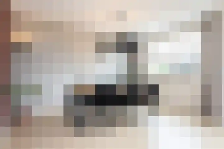Samuelsonstraat 24 Bergschenhoek thumbnail 19