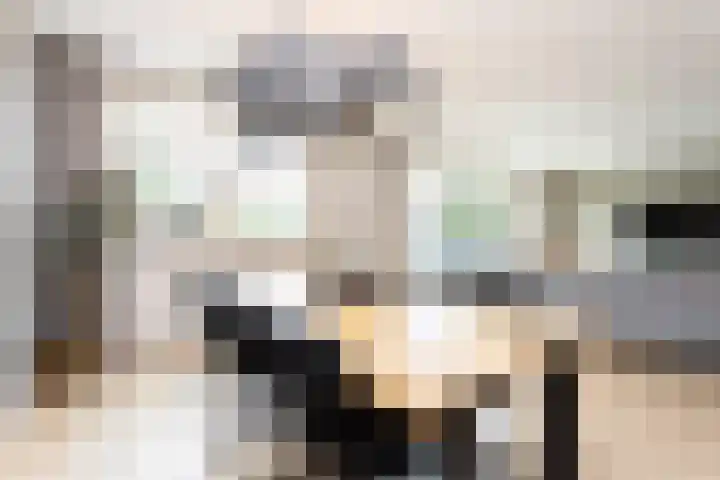 Samuelsonstraat 24 Bergschenhoek thumbnail 21