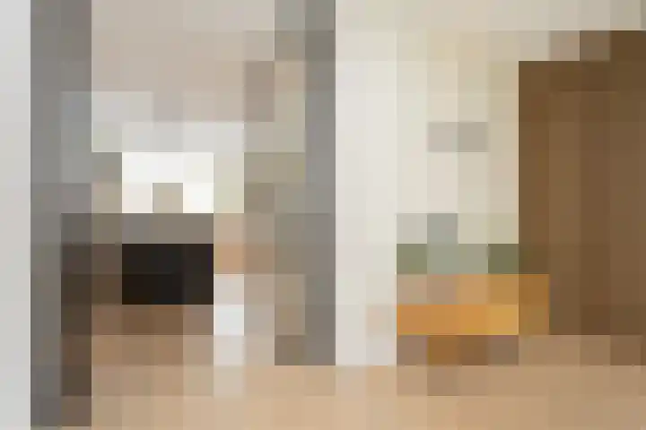 Samuelsonstraat 24 Bergschenhoek thumbnail 23