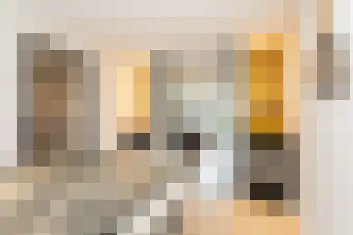Samuelsonstraat 24 Bergschenhoek thumbnail 25
