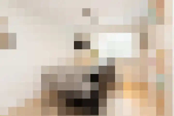 Samuelsonstraat 24 Bergschenhoek thumbnail 28