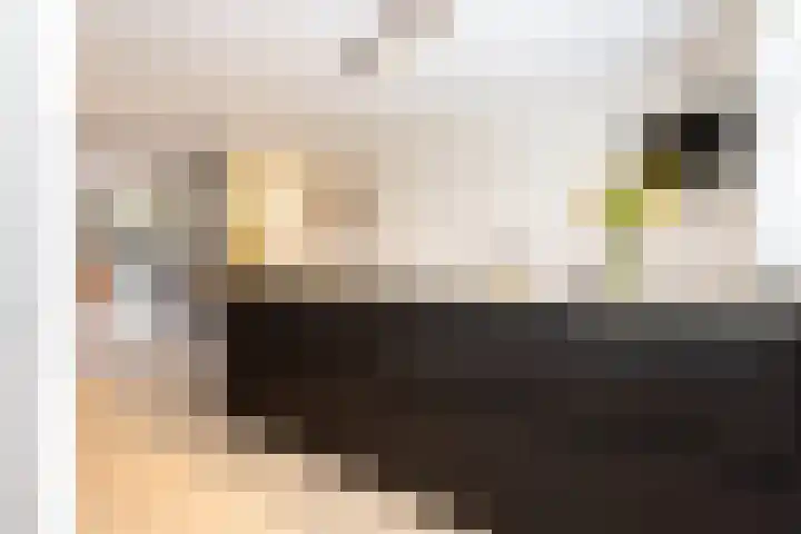 Samuelsonstraat 24 Bergschenhoek thumbnail 29