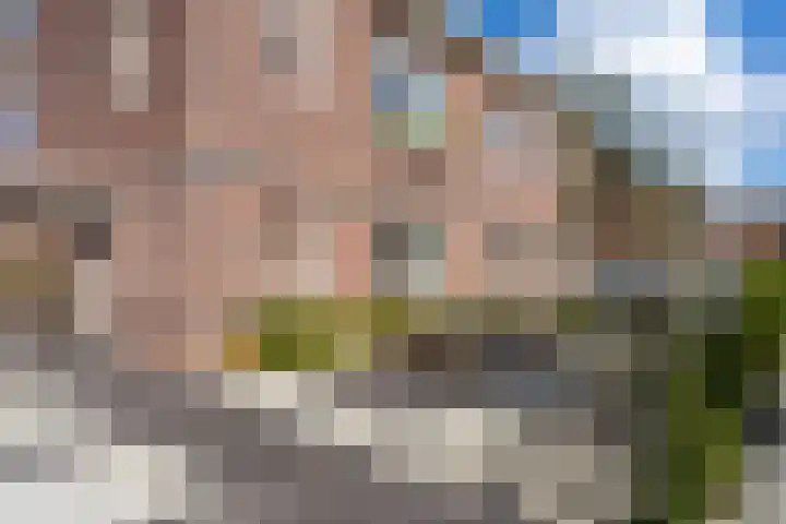 Samuelsonstraat 24 Bergschenhoek thumbnail 5