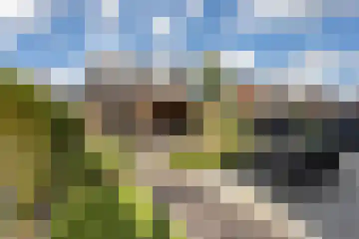 Samuelsonstraat 24 Bergschenhoek thumbnail 64