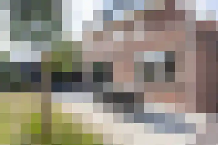 Samuelsonstraat 24 Bergschenhoek thumbnail 69
