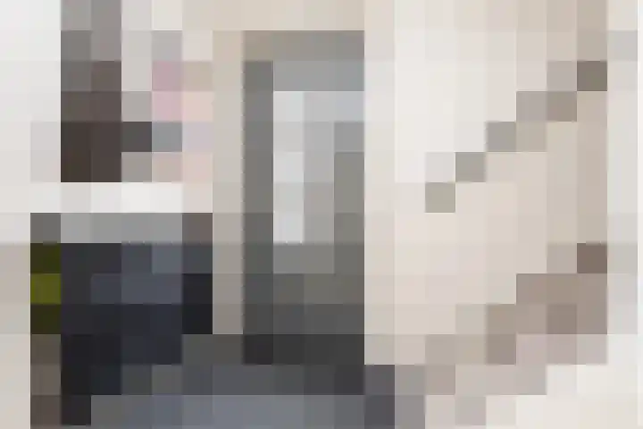 Samuelsonstraat 24 Bergschenhoek thumbnail 7
