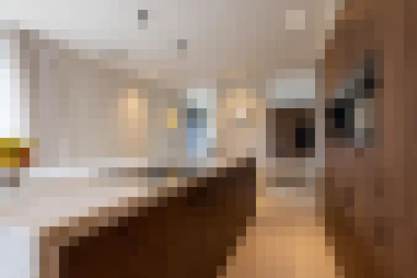Samuelsonstraat 30 Bergschenhoek thumbnail 13