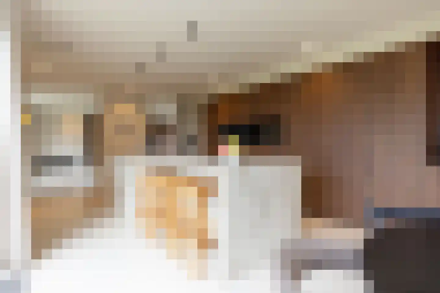 Samuelsonstraat 30 Bergschenhoek thumbnail 14