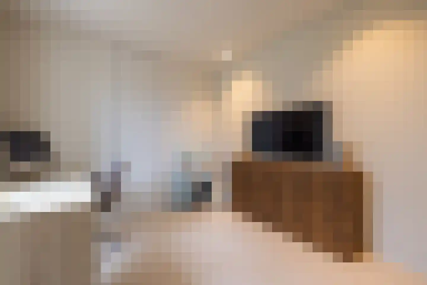 Samuelsonstraat 30 Bergschenhoek thumbnail 19