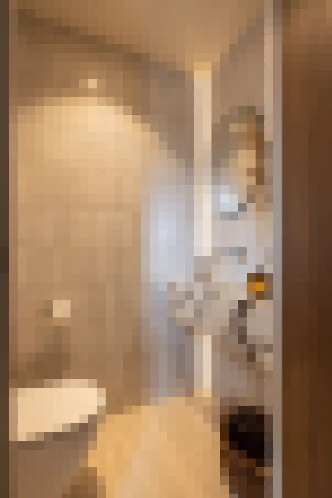 Samuelsonstraat 30 Bergschenhoek thumbnail 21