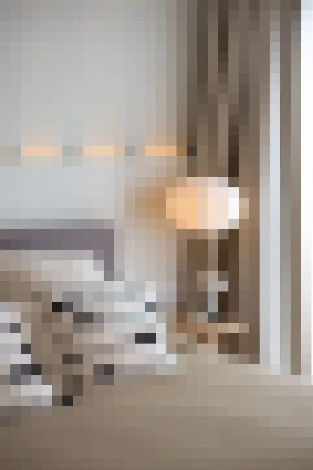 Samuelsonstraat 30 Bergschenhoek thumbnail 24