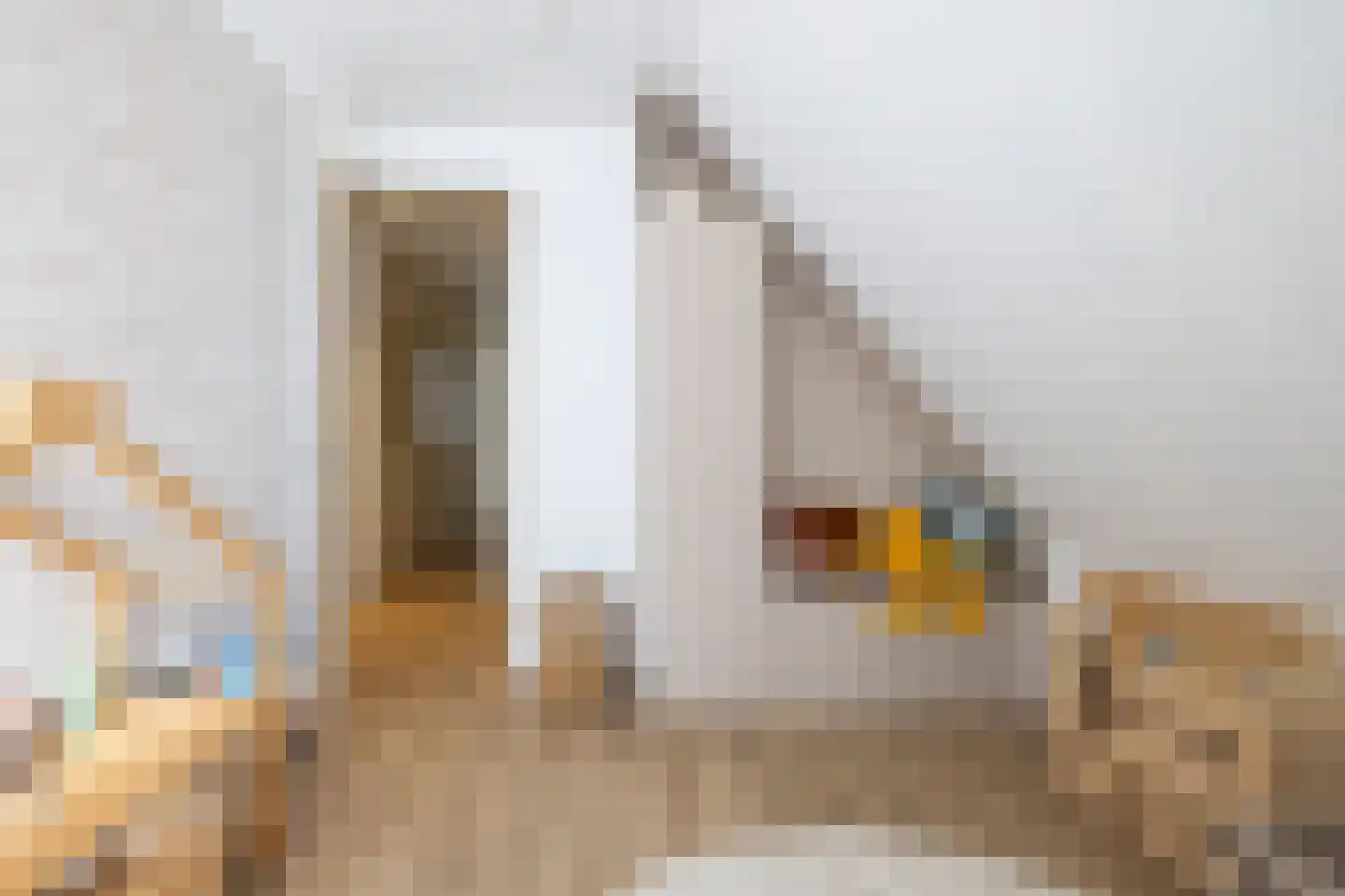 Samuelsonstraat 30 Bergschenhoek thumbnail 32
