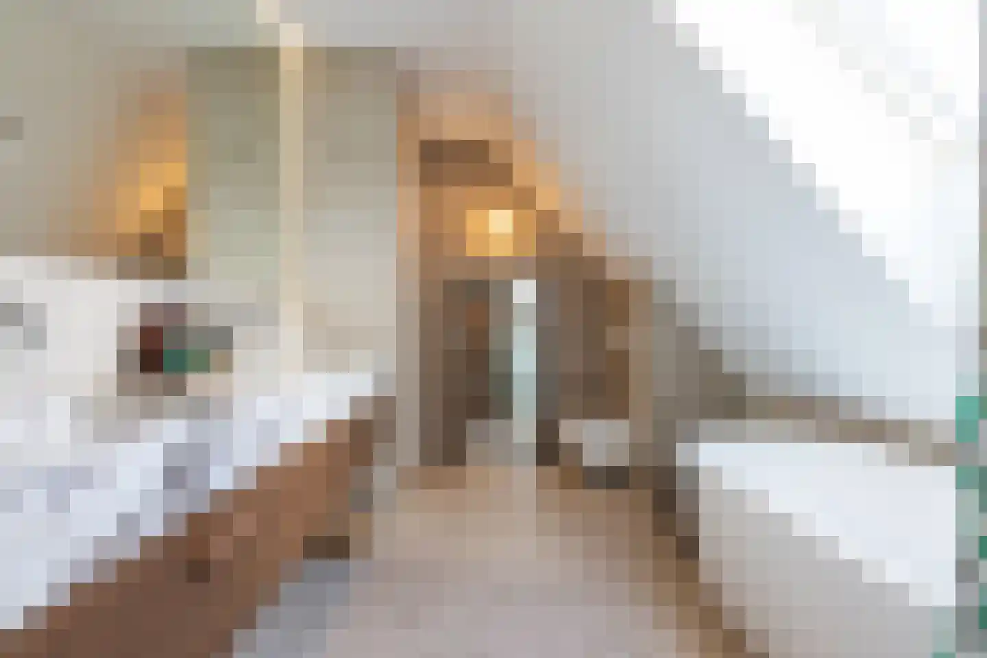 Samuelsonstraat 30 Bergschenhoek thumbnail 36