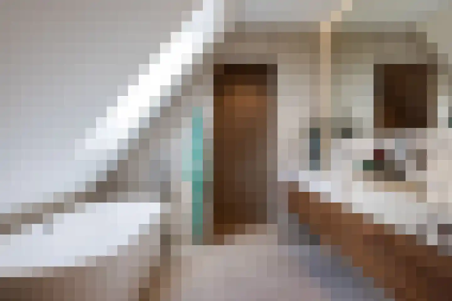 Samuelsonstraat 30 Bergschenhoek thumbnail 37