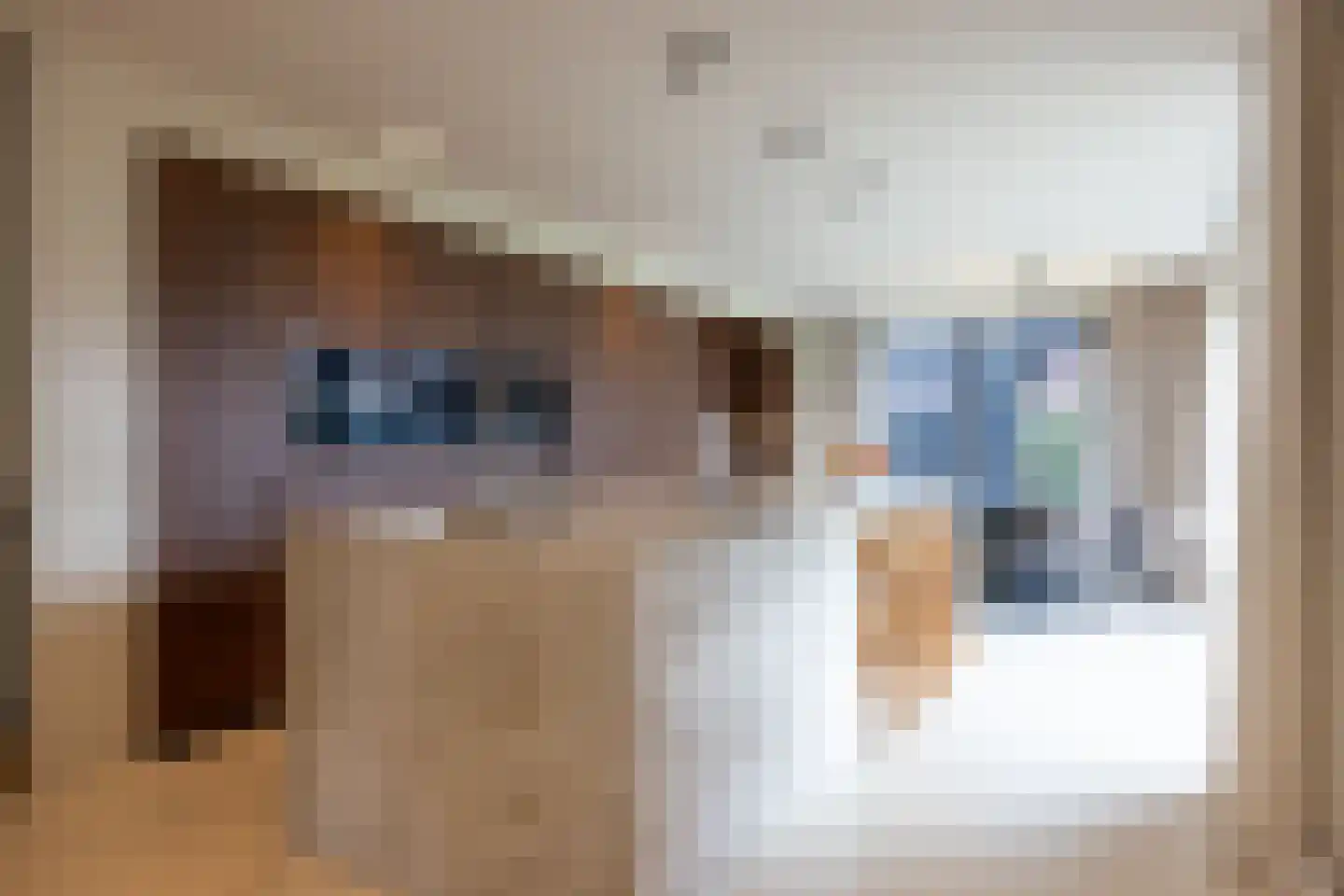 Samuelsonstraat 30 Bergschenhoek thumbnail 4