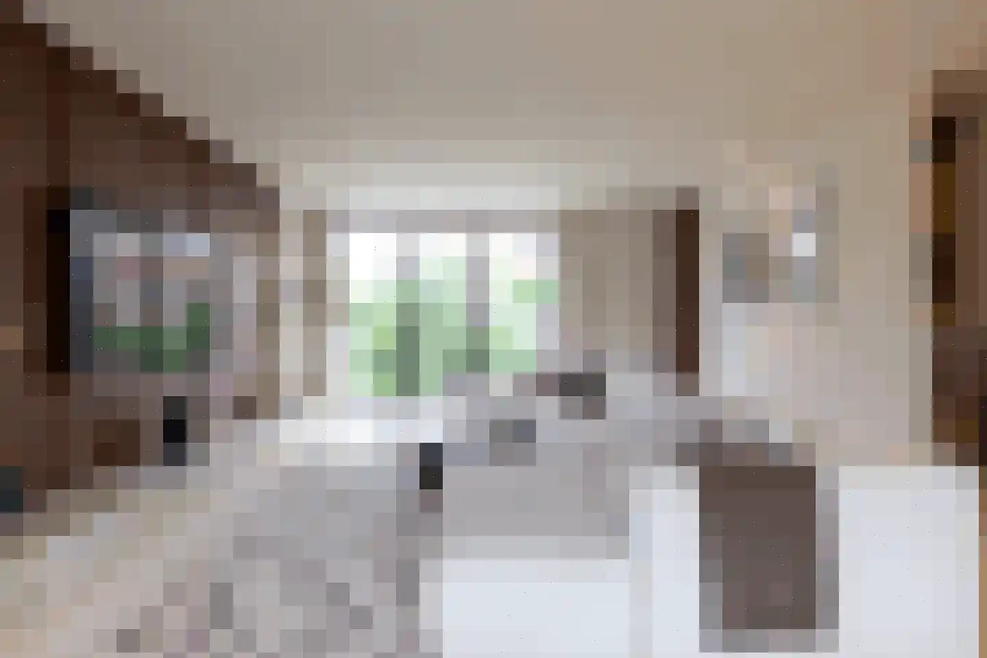 Samuelsonstraat 30 Bergschenhoek thumbnail 7