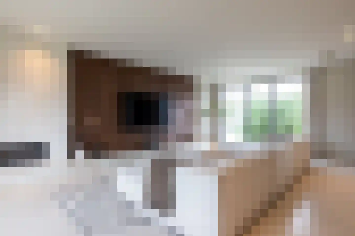 Samuelsonstraat 30 Bergschenhoek thumbnail 8