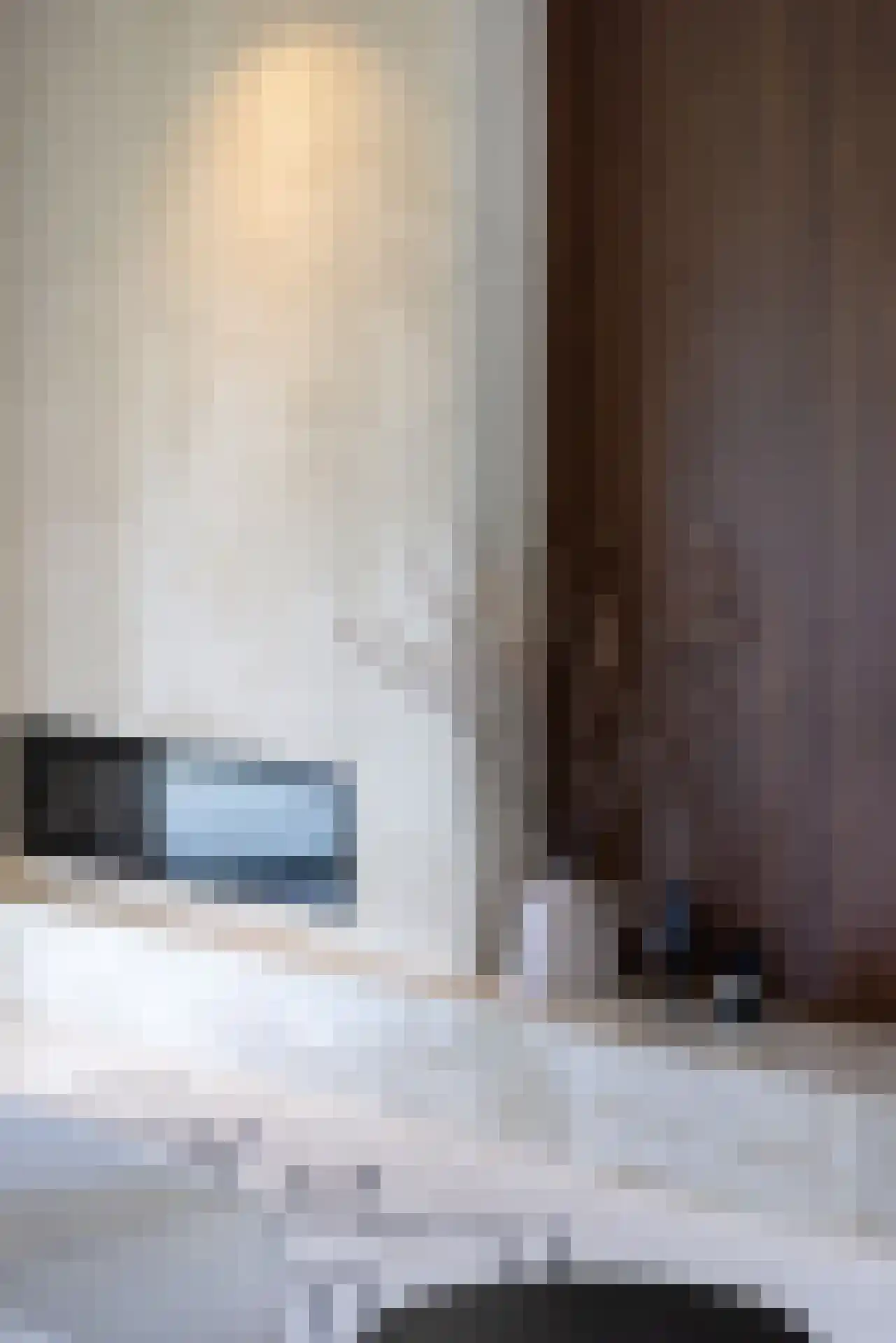 Samuelsonstraat 30 Bergschenhoek thumbnail 9