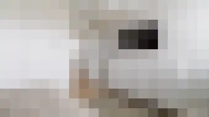Samuelstraat 21 Nijverdal thumbnail 22