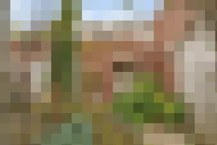Samuelstraat 22 Nijverdal thumbnail 34