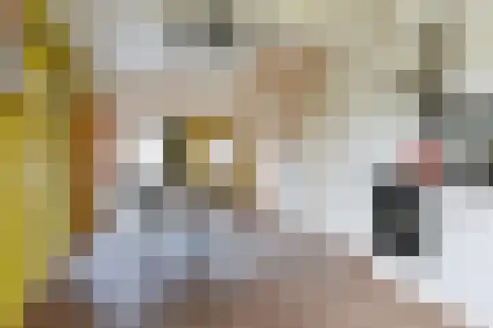 Samuelswijk 5 Elim thumbnail 14