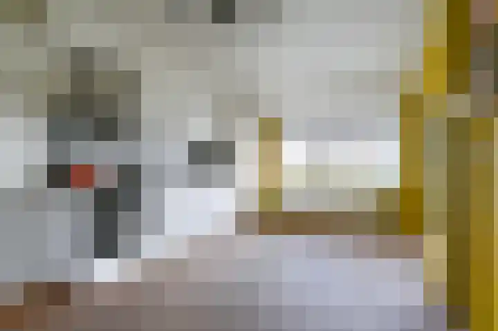 Samuelswijk 5 Elim thumbnail 15