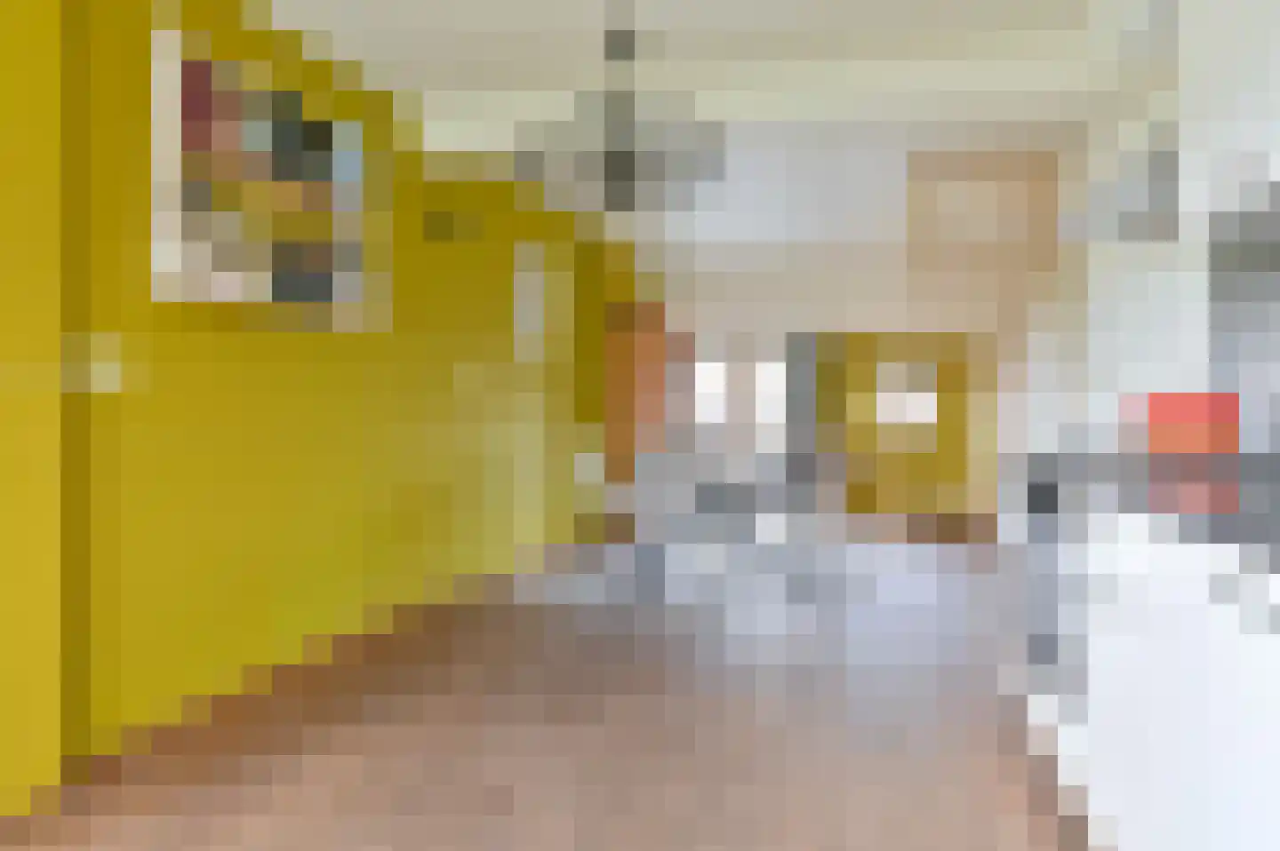 Samuelswijk 5 Elim thumbnail 17