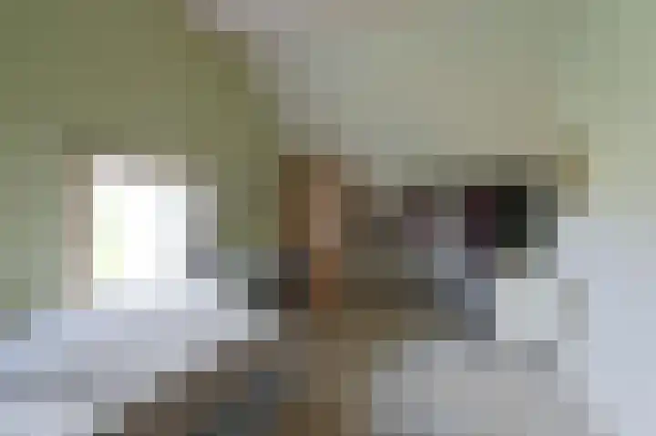 Samuelswijk 5 Elim thumbnail 38