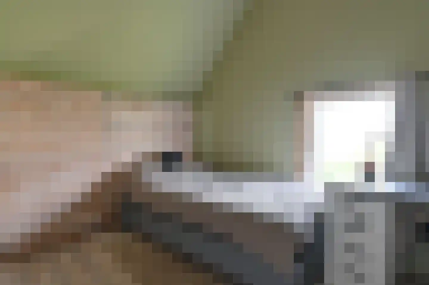 Samuelswijk 5 Elim thumbnail 39