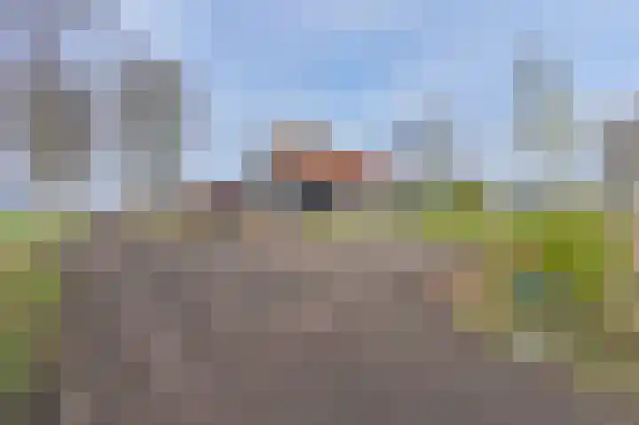 Samuelswijk 5 Elim thumbnail 5