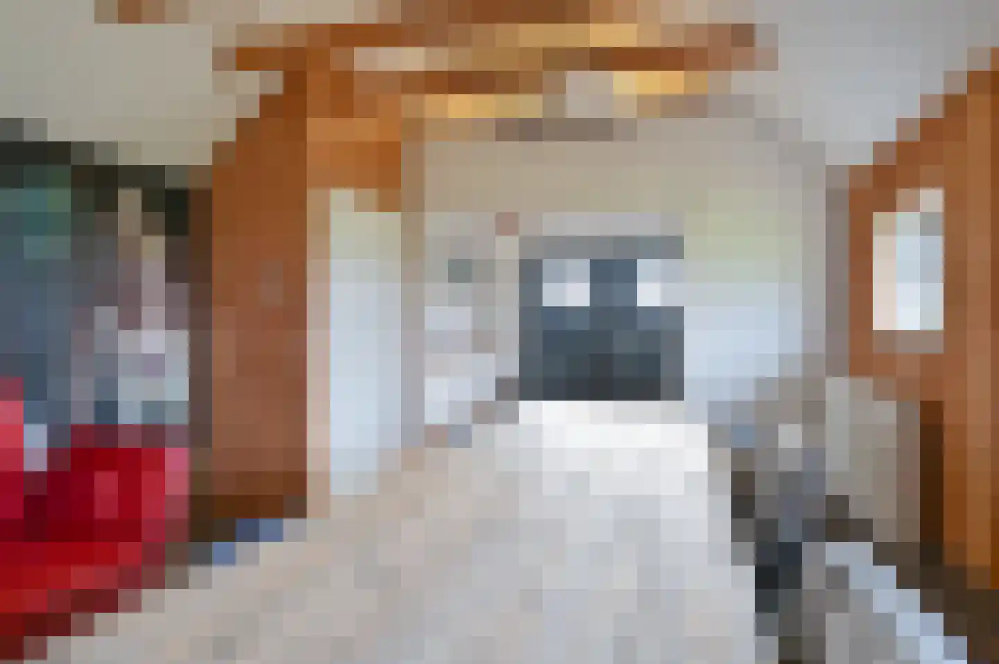 Samuelswijk 5 Elim thumbnail 65