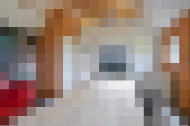 Samuelswijk 5 Elim thumbnail 65