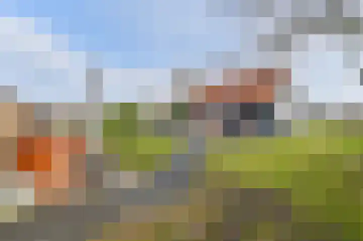 Samuelswijk 5 Elim thumbnail 73