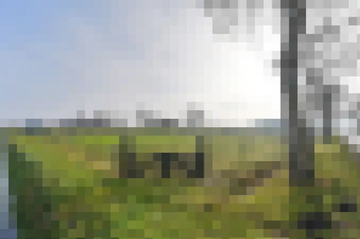 Samuelswijk 5 Elim thumbnail 75
