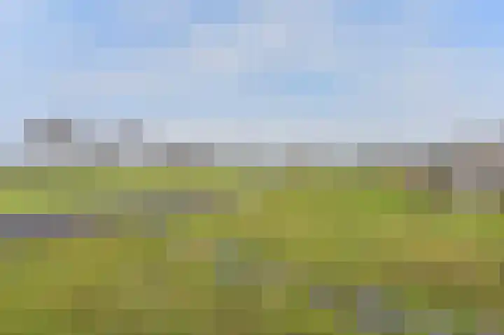 Samuelswijk 5 Elim thumbnail 76