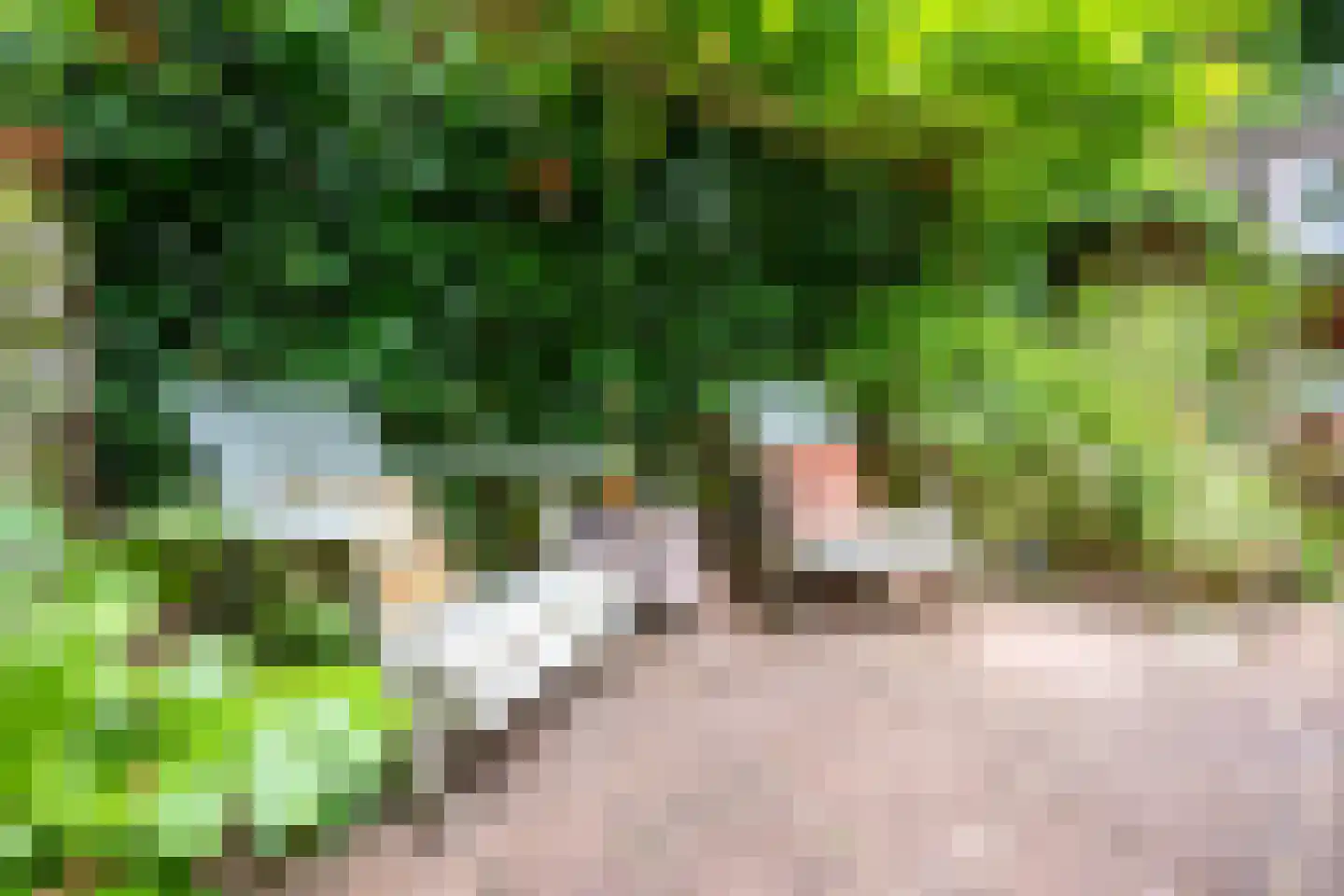 San Cristóbaldreef 6 Utrecht thumbnail 17