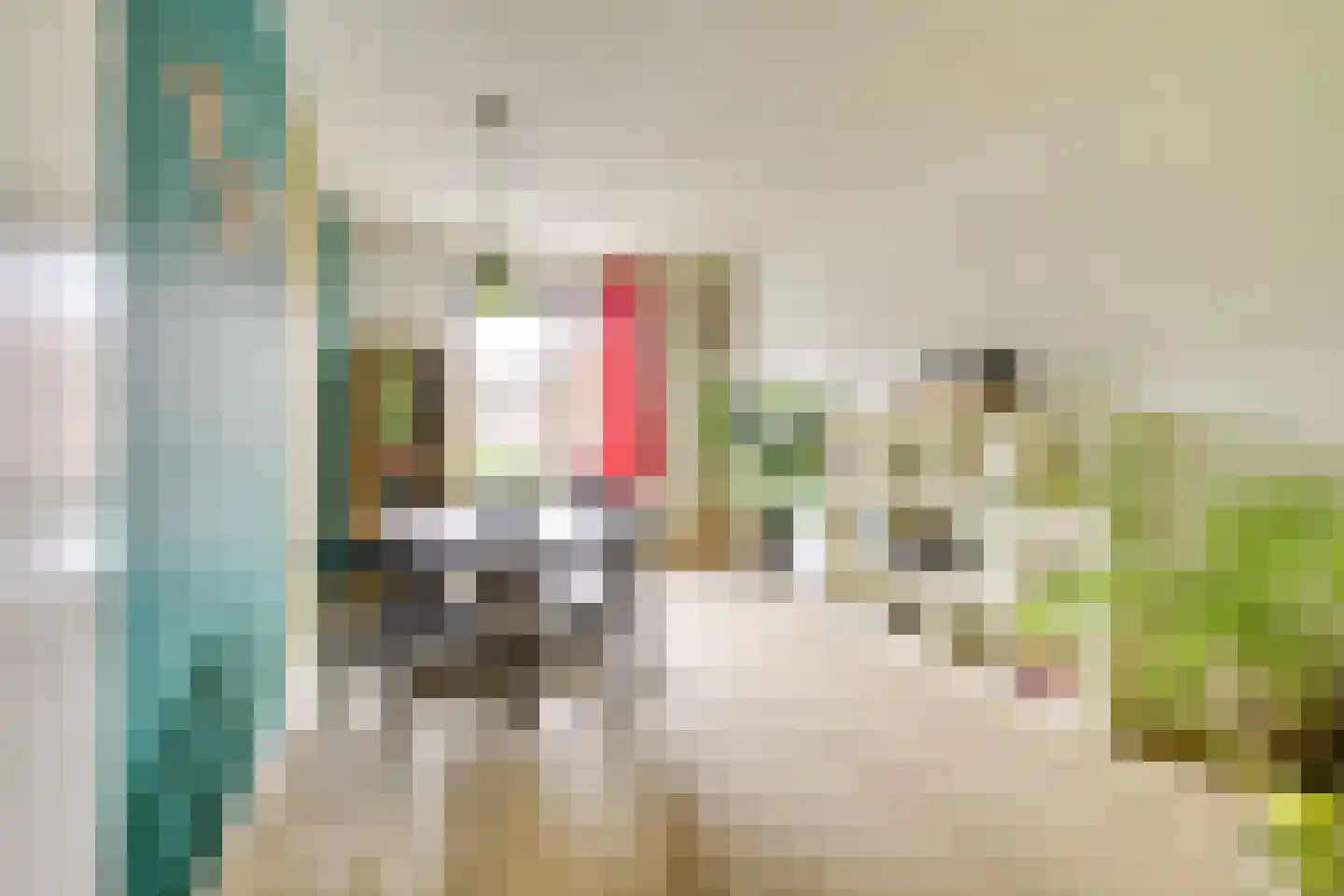 San Cristóbaldreef 6 Utrecht thumbnail 25