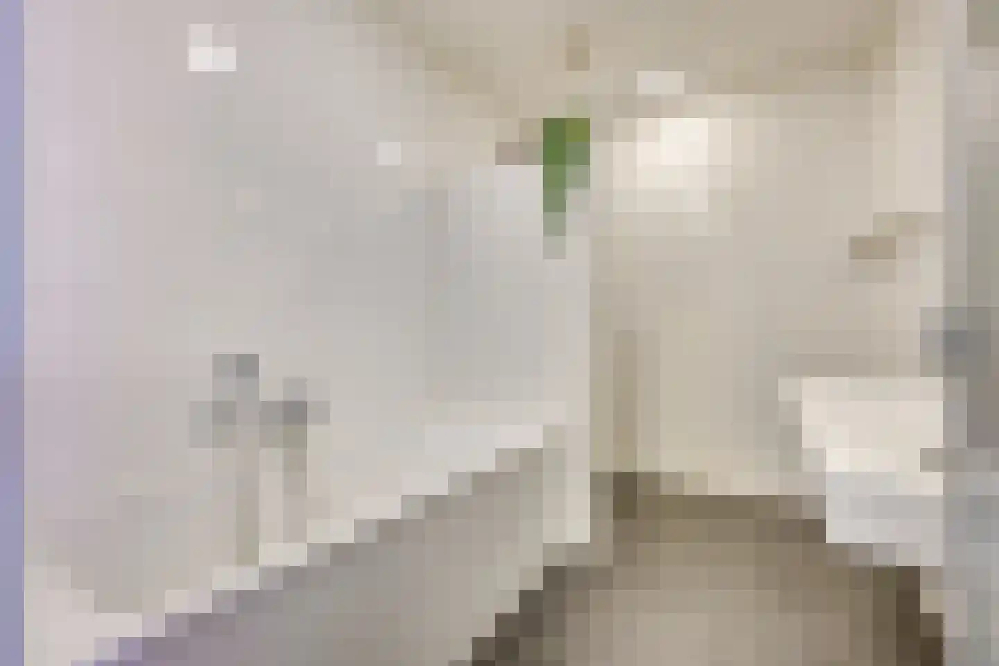 San Cristóbaldreef 6 Utrecht thumbnail 34