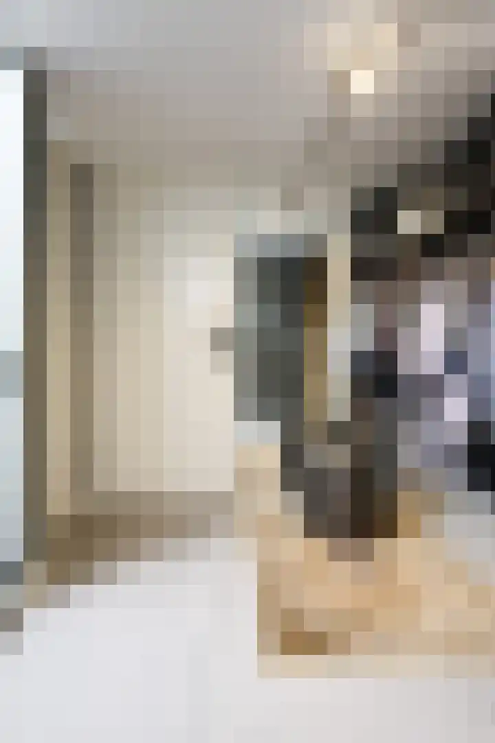 San Giorgilaan 1 Eindhoven thumbnail 10