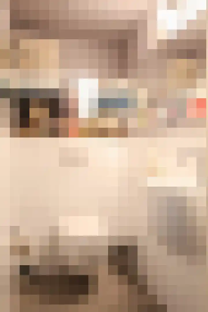 San Giorgilaan 1 Eindhoven thumbnail 11