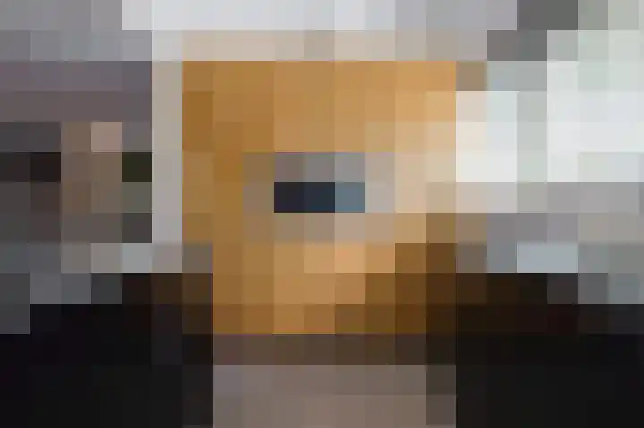 San Giorgilaan 1 Eindhoven thumbnail 18