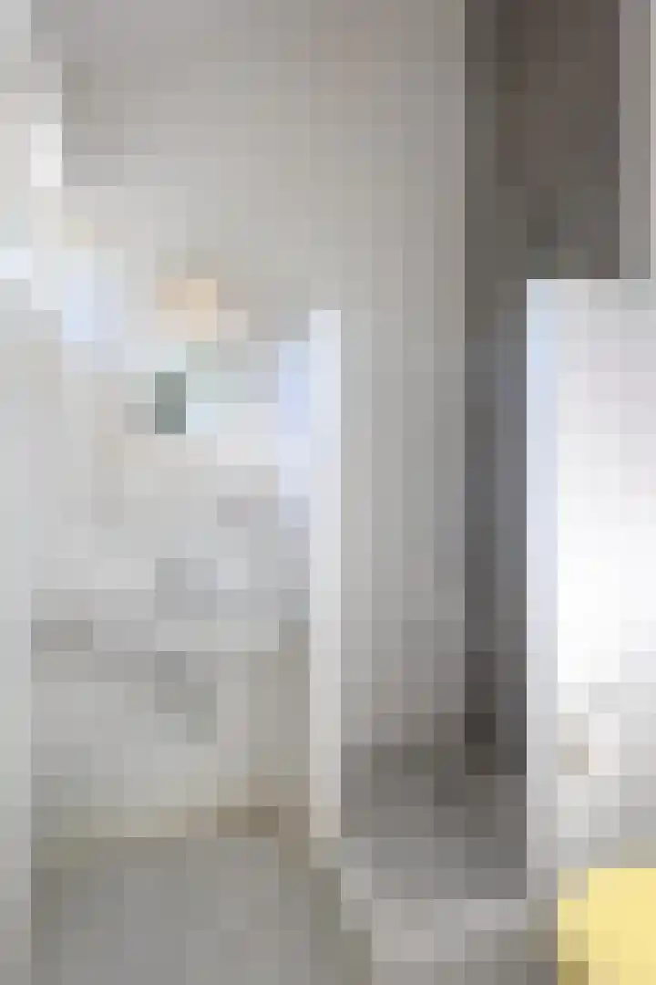 San Giorgilaan 1 Eindhoven thumbnail 56