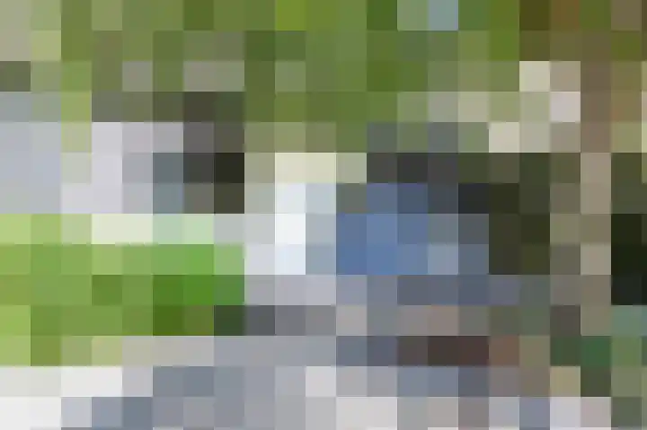 San Giorgilaan 1 Eindhoven thumbnail 6