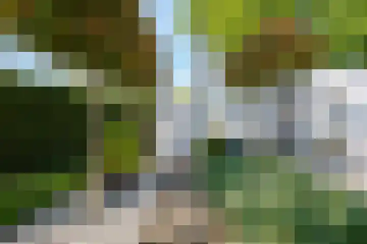 San Giorgilaan 1 Eindhoven thumbnail 63