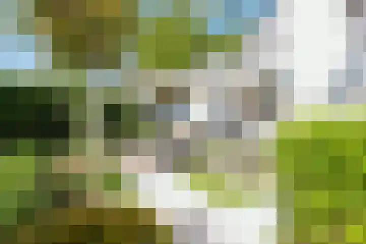 San Giorgilaan 1 Eindhoven thumbnail 66