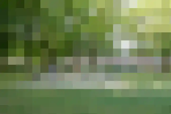 San Giorgilaan 1 Eindhoven thumbnail 69