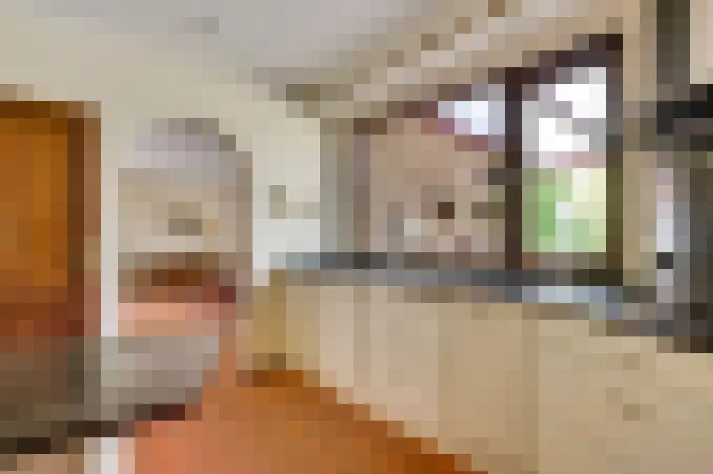 San Giorgilaan 15 Eindhoven thumbnail 12