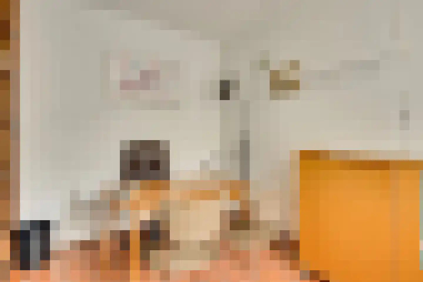 San Giorgilaan 15 Eindhoven thumbnail 13