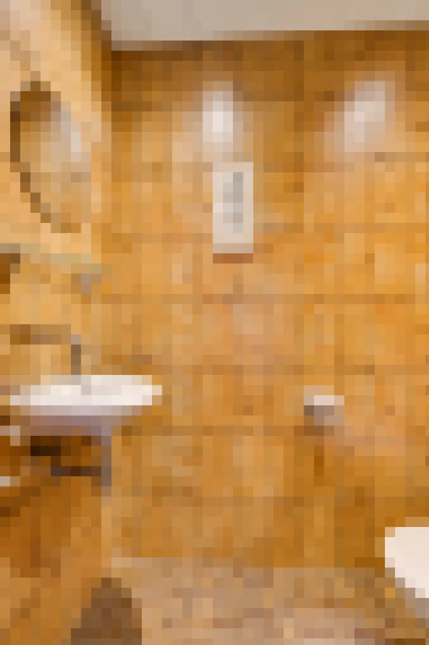 San Giorgilaan 15 Eindhoven thumbnail 14