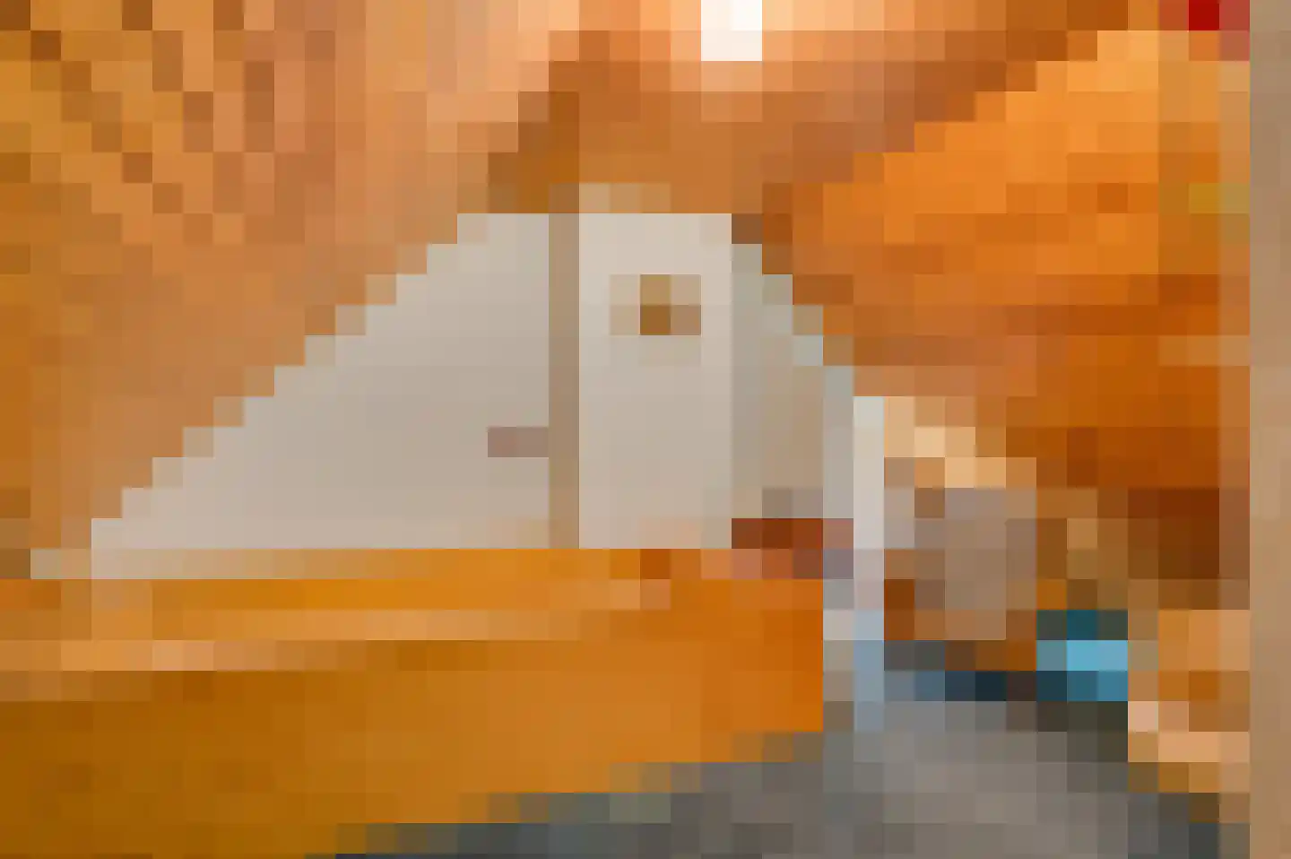 San Giorgilaan 15 Eindhoven thumbnail 26